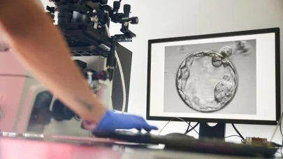 Tıpta bir ilk: İnsan derisinden yumurta hücresi üretildi