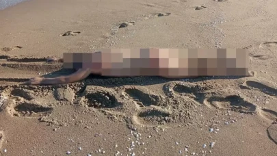 Sakarya Karasu'da sahilde çıplak erkek cesedi bulundu