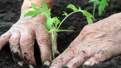 Ay takvimine göre ekim dikim işleri Ekim 2025