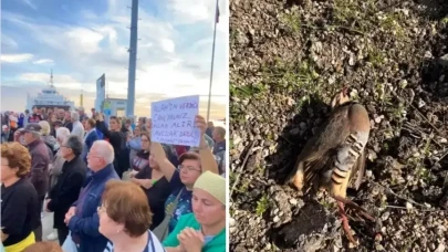 Paşalimanı Adası'nda avcılar protesto edildi