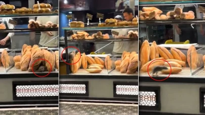 Fırında çekilen bu görüntüyü paylaşmaması için 420 bin lira teklif edildi