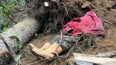 Trabzon'da devrilen ağaç can aldı