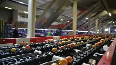 25 ülkeye ihracat yapan Saraylım Tarım konkordato talep etti