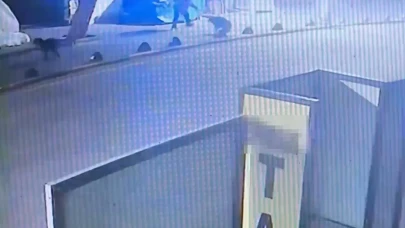 Kuşadası’nda emekli astsubay sokak köpeğini vurdu
