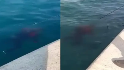 Boğaz'da bulunan cesedin sırrı çözüldü