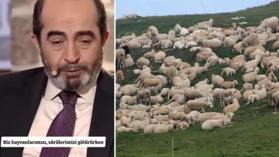 Koyunların davranışı şehit mezarını ortaya çıkardı: 90 yıllık naaş bozulmamış halde bulundu