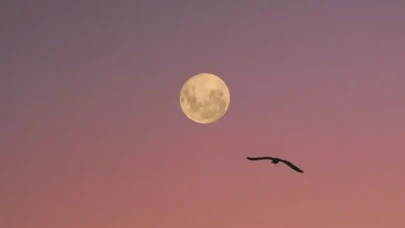 2025 Aralık dolunayı ne zaman? Nasıl gözlemlenir?