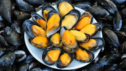 İstanbul'da kaçak midye avcılığına 339 bin 930 lira ceza