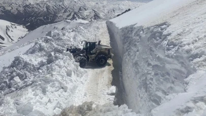 Hakkari'de kar nedeniyle 22 üs bölgesinden 18’inin yolu açıldı