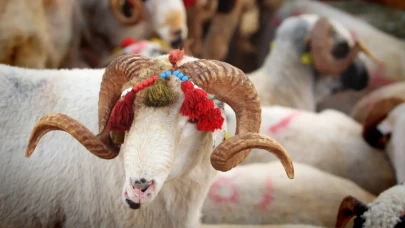 2026 Kurban Bayramı ne zaman, hangi güne denk geliyor? Kaç gün tatil var?