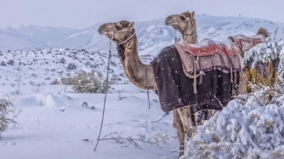 Çöl ülkesinde şaşırtan manzara