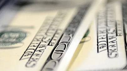 Merkez Bankası rezervlerinde yükseliş: 186,4 milyar dolar seviyesinde