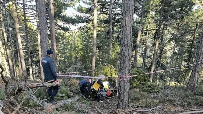 Ağaç üzerine devrildi: Olay yerinde hayatını kaybetti