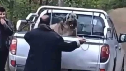 Yok böyle canilik! Trabzon'da köpeği halatla dövdü