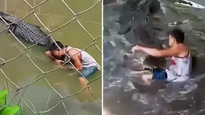 Heykel sandığı gerçek timsahın saldırısına uğrayan turist ağır yaralandı