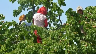 Fiyatı 360 TL'ye çıktı: Artık marketlerde değil eczanelerde satılacak