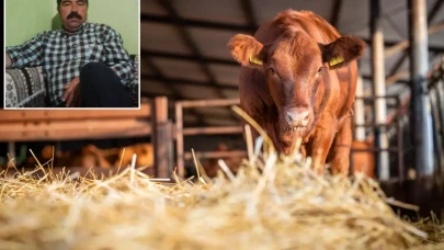 Süt sağmak için girdiği ahırdan cansız bedeni çıkarıldı