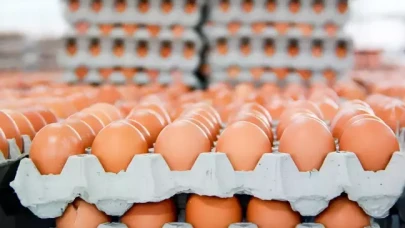 Kahverengi yumurta satışı kısıtlandı