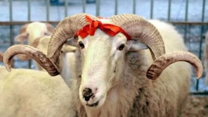 2025 Kurban Bayramı Tatili 9 gün olacak mı? İşte beklenen karar ve tarihler!