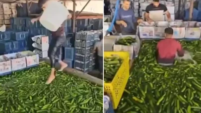 Mide bulandıran görüntüler Türkiye'den! Çıplak ayakla salatalık havuzuna daldı