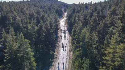 Ankara'da ormanlara giriş yasaklandı