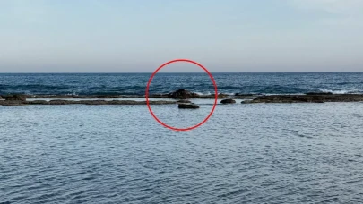 Antalya'da denizin ortasındaki inek leşi görenleri şoke etti