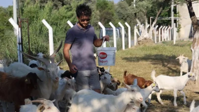 İki üniversite mezunu, yaptığı işi duyan şaşırıyor