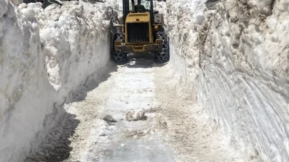 Türkiye sıcaktan kavrulurken Rize'de kar kalınlığı 5 metreyi buldu