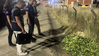 Ticaret Bakanlığı'ndan Kocaeli'de boş araziye salatalık döken kişiye dev ceza