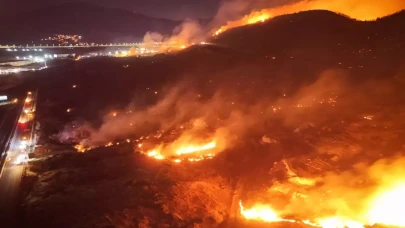 İzmir'de orman yangını: 1 kişi gözaltına alındı