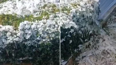 Yer: Osmaniye! Mezarlıkta çekildiği söylenen görüntü büyük tartışma yarattı