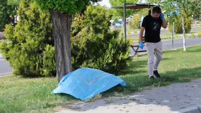 Önce annesinin mezarını ziyaret etti, sonra canına kıydı