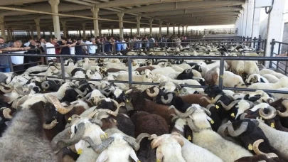 Kurbanlıklarda görülmemiş hile aman dikkat