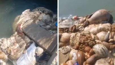 Adana’da sulama kanalları kurban atıklarıyla doldu!