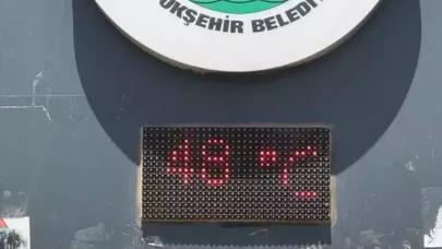 Termometreler 48 dereceyi gördü: Vatandaşlar  yeşil alanlara akın etti!