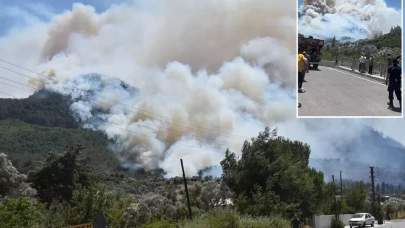 Türkiye'de orman yangınları! 150 yangına müdahale, 17 gözaltı!