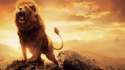 Aslan burcu 20 Haziran Cuma günlük burç yorumları: Tutkunun ateşi yükseliyor