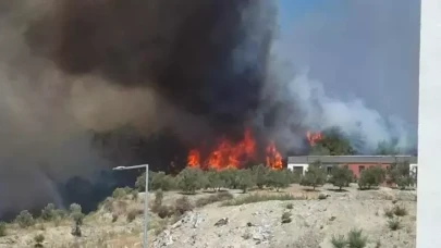 Alevler tehlikeli boyutta: Hatay'daki yangında tahliyeler başladı!
