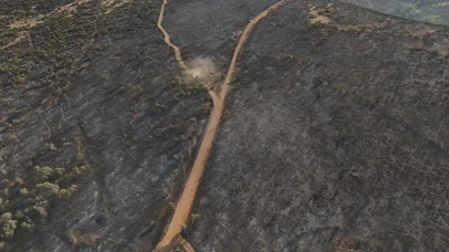 Bakan açıkladı: 3 İl'deki orman yangınları kontrol altında