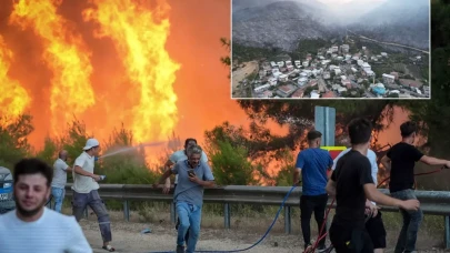 Bursa'daki orman yangınında son durum! Tahribat gün ağarınca ortaya çıktı