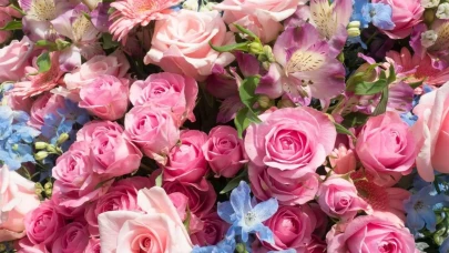 Güzelliğiyle büyülüyor! Bu yılın trend çiçeği belli oldu