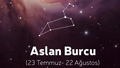 Aslan burcu 28 Temmuz Pazartesi yorumları