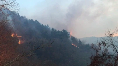 Vali Gül duyurdu: İstanbul'da olası orman yangını önlemi