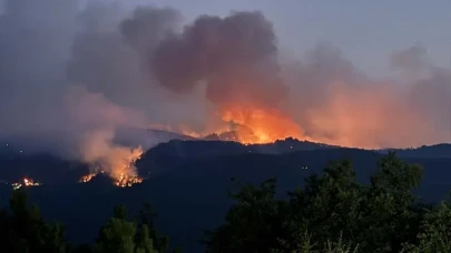 Eskişehir'deki orman yangınında 10 görevli şehit oldu!