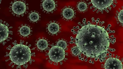 DSÖ'den "salgın" uyarısı! Chikungunya virüsü hızla yayılıyor, 5.6 milyar kişi risk altında
