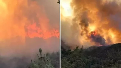Sakarya'da orman yangını paniği! Tahliye kararı