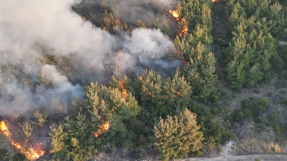 Tekirdağ'da çıkan orman yangını Çanakkale'ye sıçradı!