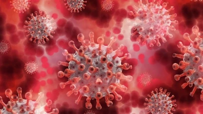 Yeni salgın geliyor! Türkiye'de riskli DSÖ uyardı acil önlem çağrısı