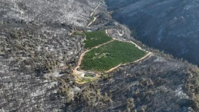 Bursa'yı kül eden alevler bir tek oraya ulaşamadı! Nedeni herkese ders olacak cinsten