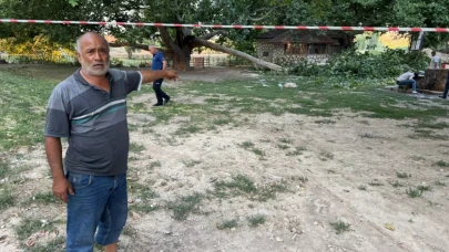 Kırılan ağaç dalı aynı aileden 11 kişiyi hastanelik etti